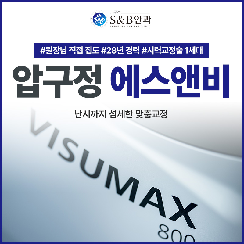 스마일프로 VISUMAX 800 장비와 에스앤비안과 안내